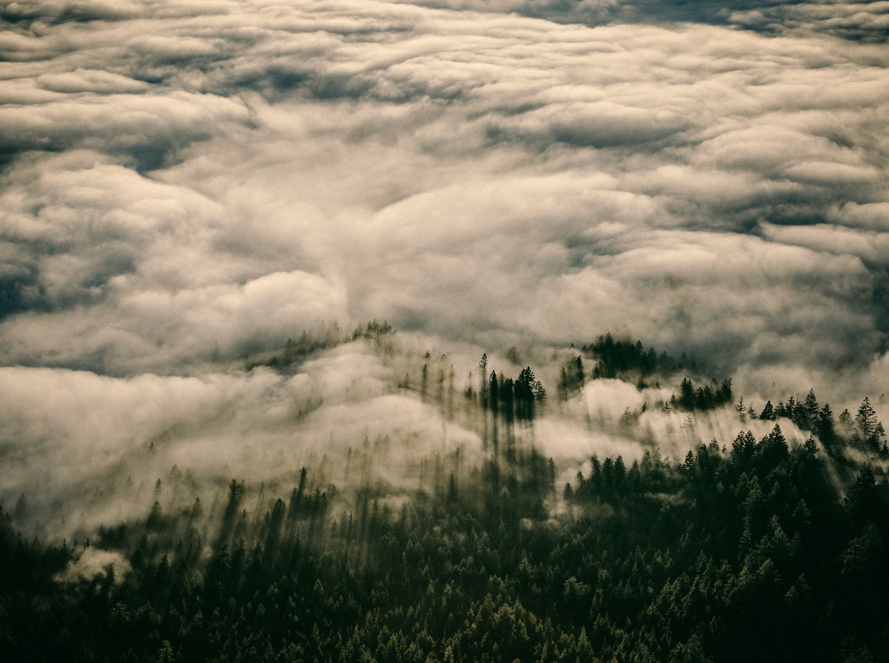 Виды купальников